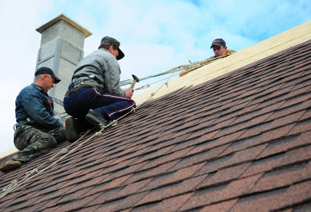 Best Slate Roofing Contractor  in Quail Creek, TX